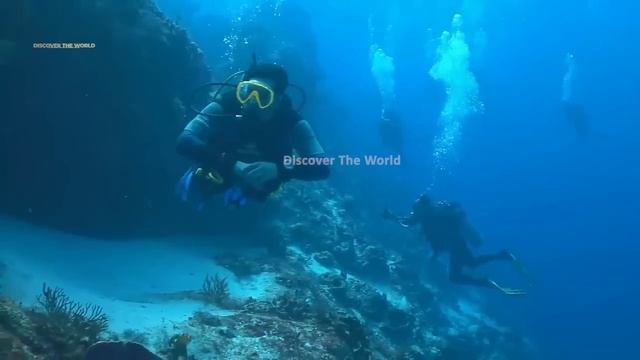 Amazing Discoveries Found Under Sea In Urdu hindi