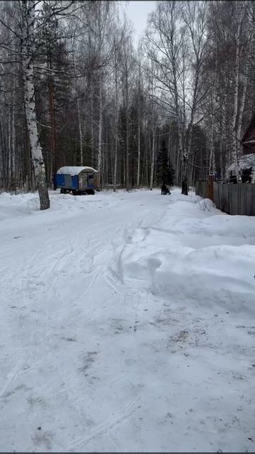 VID-20250119-WA0008.mp4