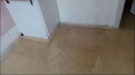 Квартира 259 Днепр 25 г.