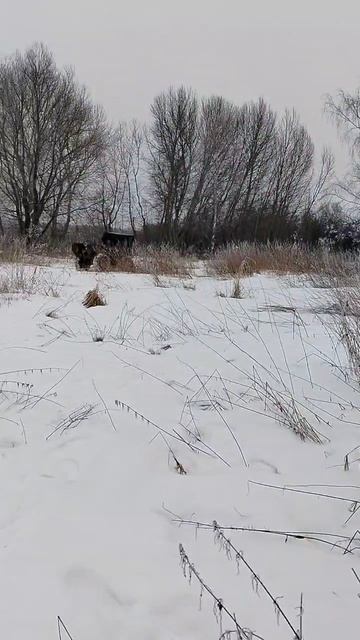 бронза и чугун