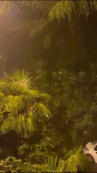 В Сочи дождик