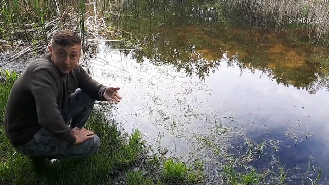 Użytek ekologiczny - Staw Królówka