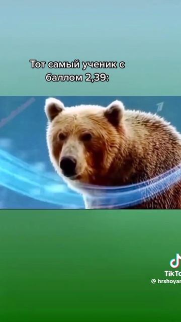 почему бы и нет