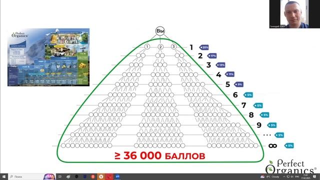 Маркетинг план компании Perfect Organics 2025 год