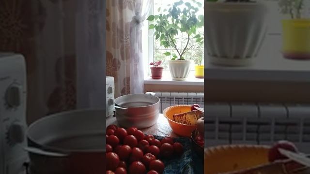 Ох! Ох! Чертополох!!!🍅🌶️🍅