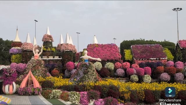 550.Петунии танцуют вальс с подсолнухами🌺🌼.