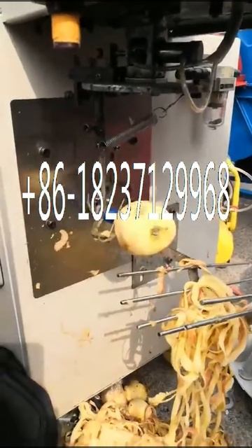 apple orange persimmon citrus peeler machine/lemon skin peeling machine