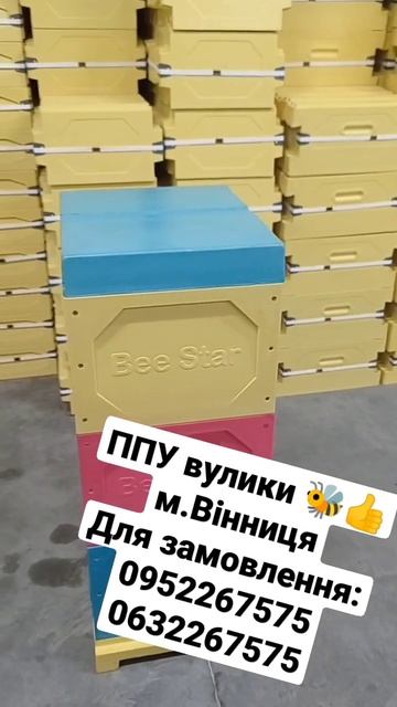 Корпусні 10-рамкові вулики 300 Дадан, Рута, 145.