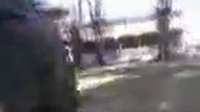 al parko 2