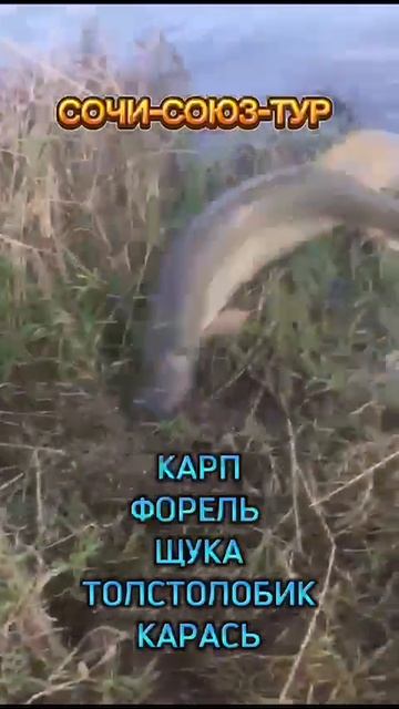 ОЗЕРНАЯ И МОРСКАЯ РЫБАЛКА НА МОРЕ (АБХАЗИЯ)🐋