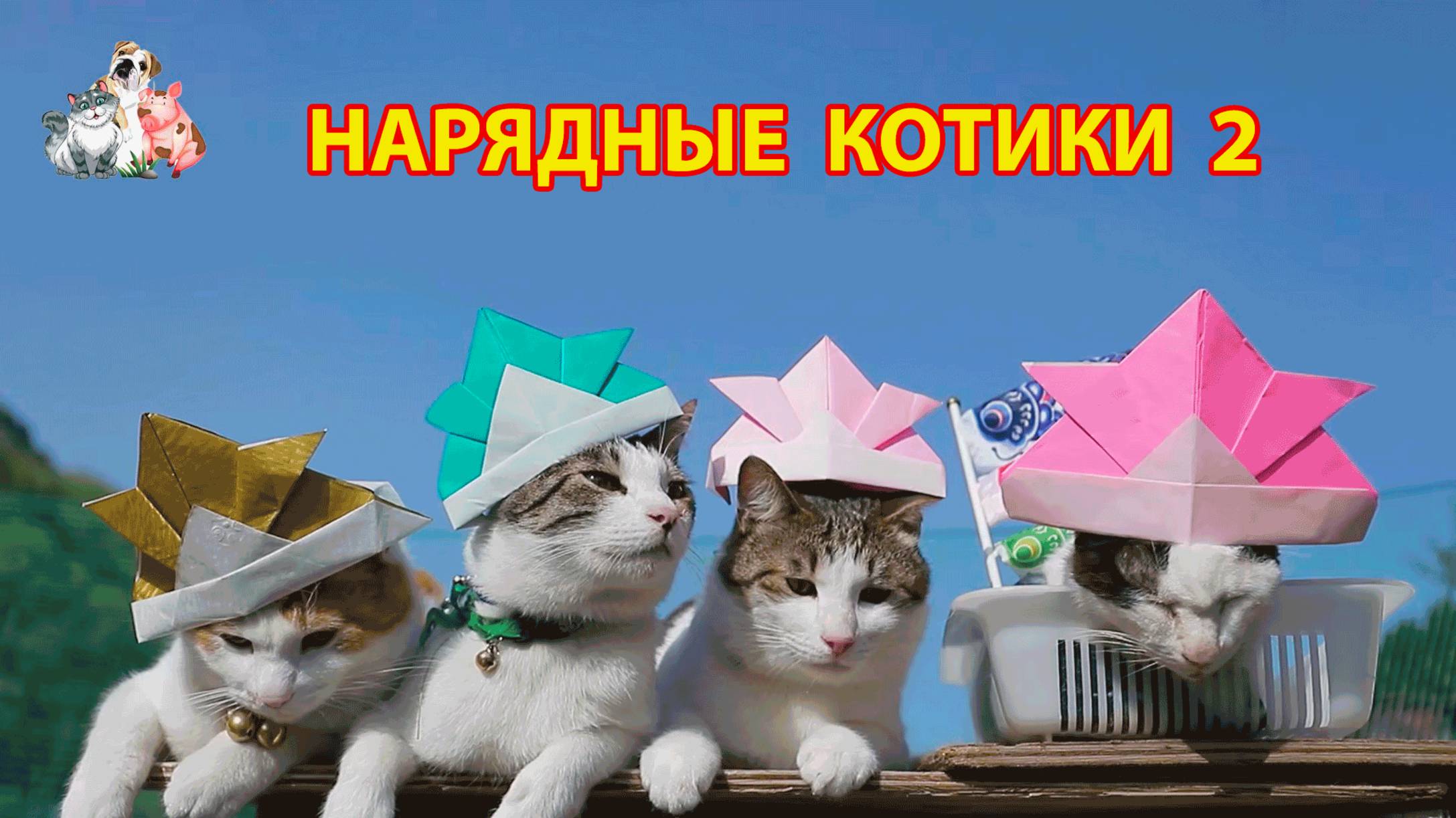 Нарядные Котики расслабляются на солнышке 🌞 🐈🐈⬛🐈 (2)