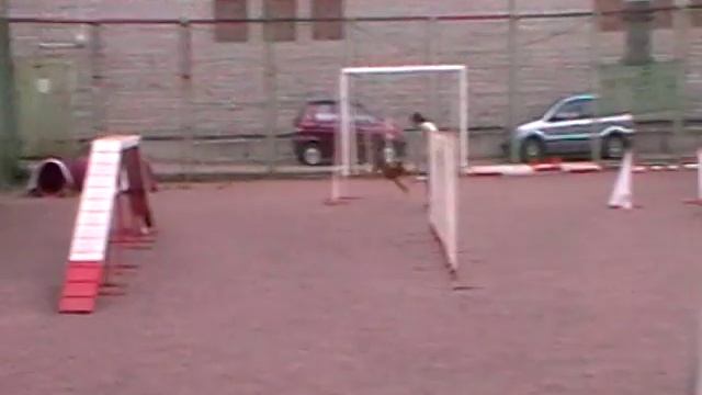 Чистякова Виктория и ит ЛАДОГА А1 1