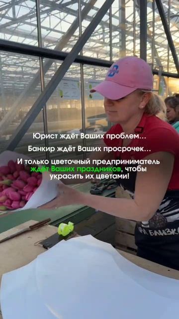 Тюльпаны оптом