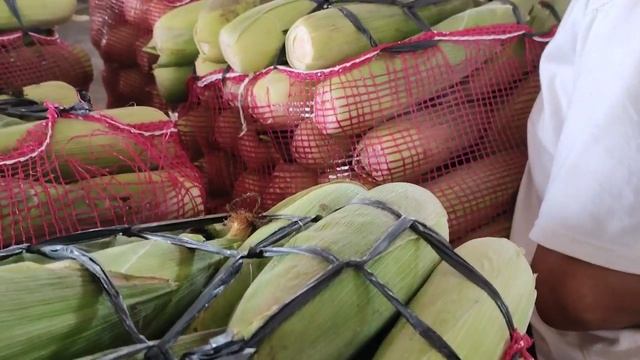 CMB NAIK LAGI SAYURAN OK CABE RAWIT MASIH LUMAYAN DI PASAR INDUK PARE KEDIRI