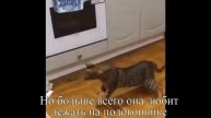 УЧЕНИКИ О ДОМАШНИХ ЖИВОТНЫХ
