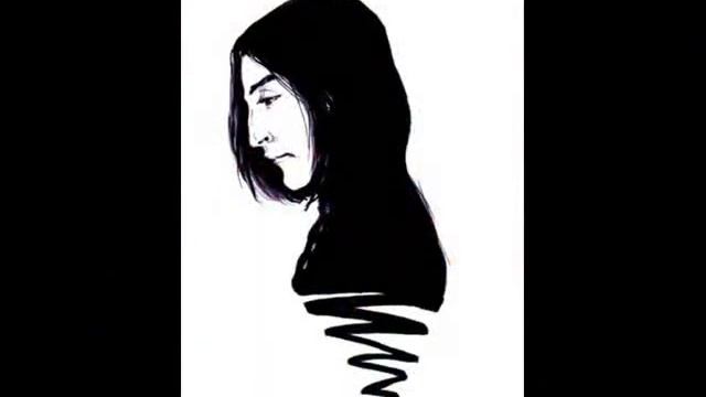 Snape/James/Lily/Hermiona/Draco-fly