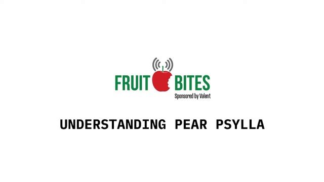 Understanding Pear Psylla