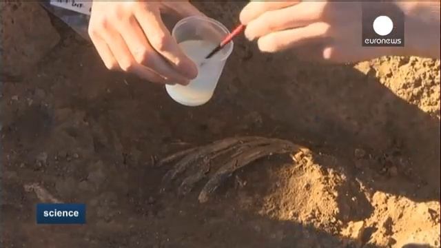 هل طور الإنسان البدائي الزراعة في منطقة الصحراء السوداء بالأردن؟ - science