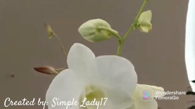 Piano soft music