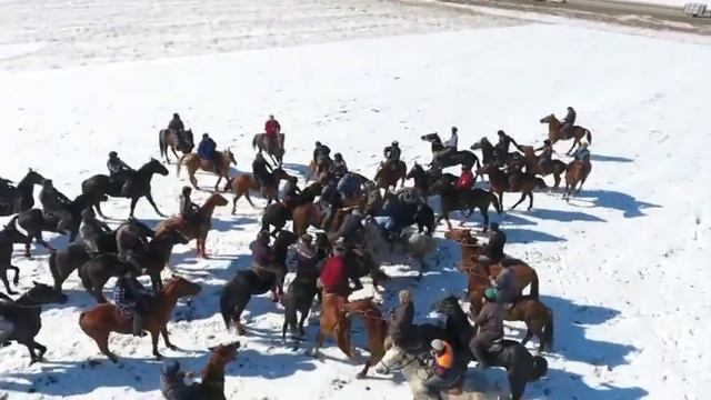 Кокпар Жуалы - Ардагерлер (50+) - № 3