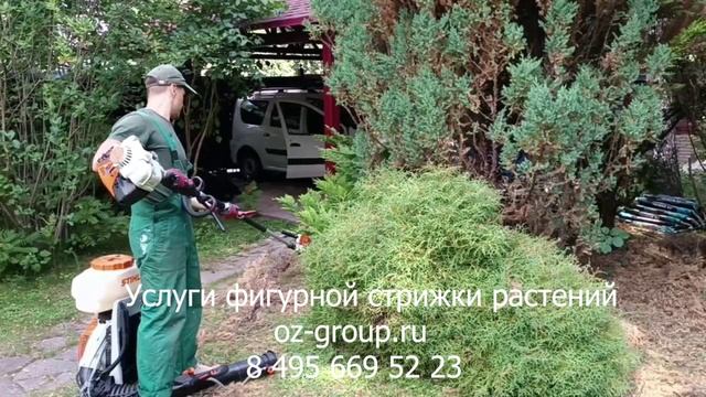 Услуги фигурной стрижки растений на даче. Выезд Агрономов по Москве и области. Звоните сейчас!