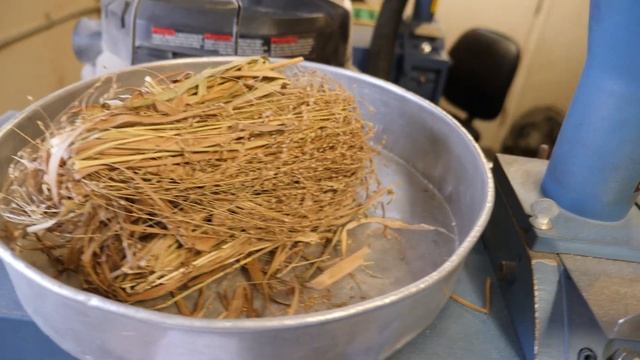 Using Perennial Grasses for Bioenergy and Other Sources