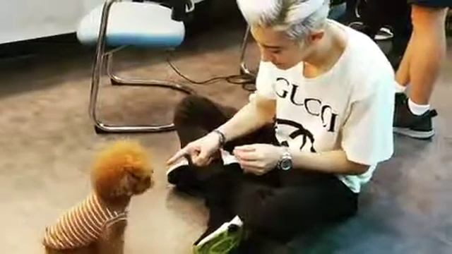 CHANYEOL EXO - Toben Dongsaeng 😂
