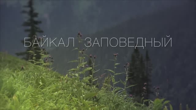 Байкал заповедный