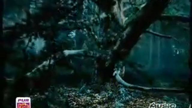 un jour une femme ""florent pagny