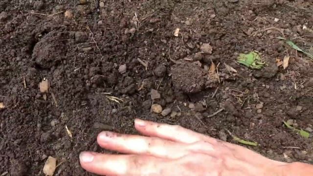 Planting the garden 2021, Ontario, Canada