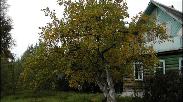 Иеромонах Роман. Родина. (Яблони детства.)