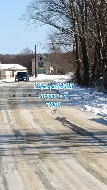 18февраля2025