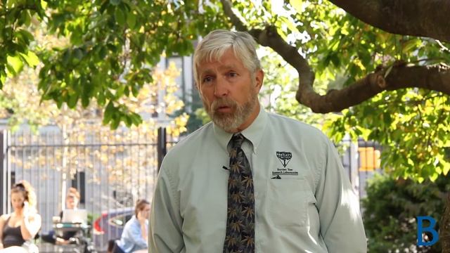 The Magnolia's Root System: Dr. Neil Hendrickson