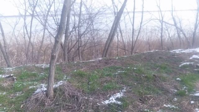 Природа Зимняя Река «Са́мый лу́чший день»