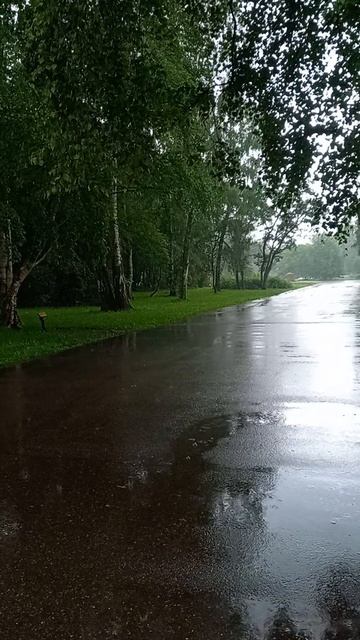 Летний дождь