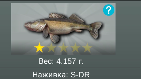 ловим рыбу в игре