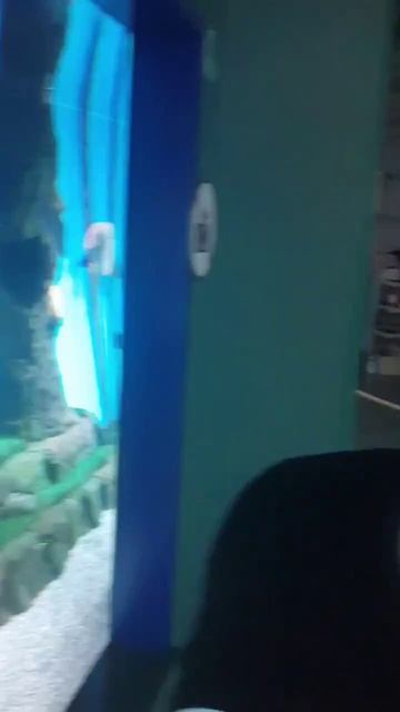 Путешествуйте выгодно
rosbillet.ru