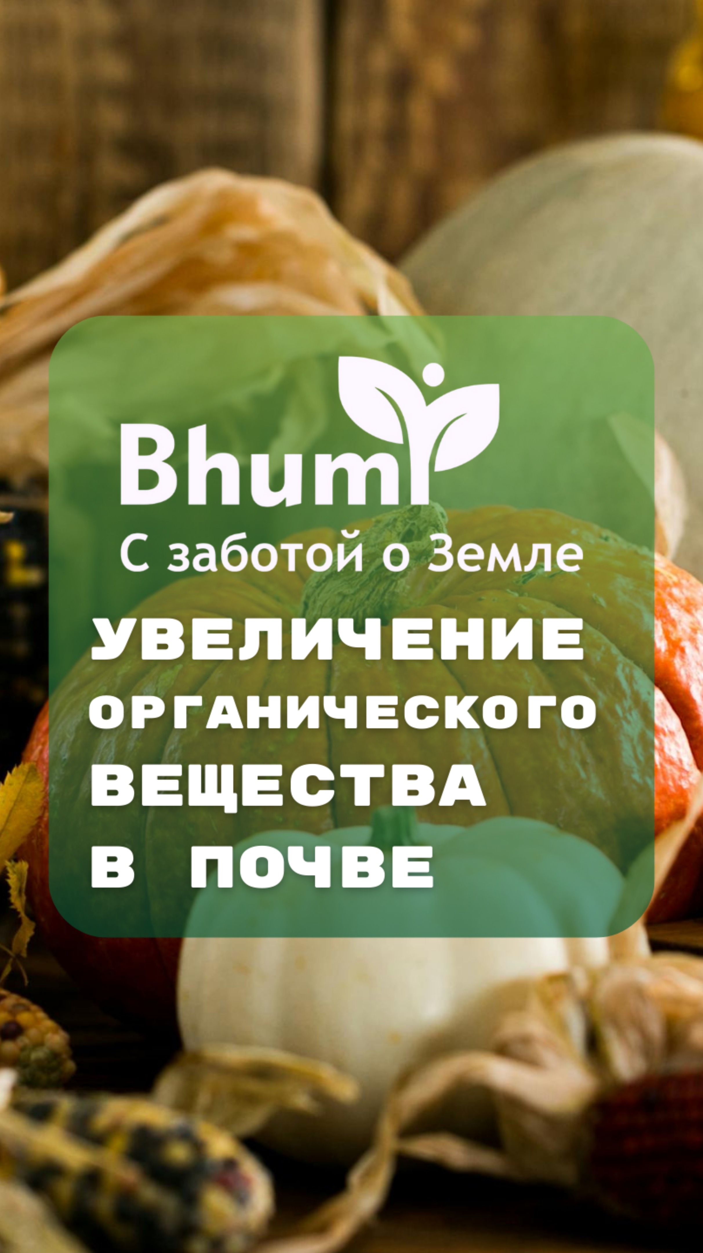 Увеличение органического вещества в почве #органика #плодородие #урожай #прибыль #bhumi