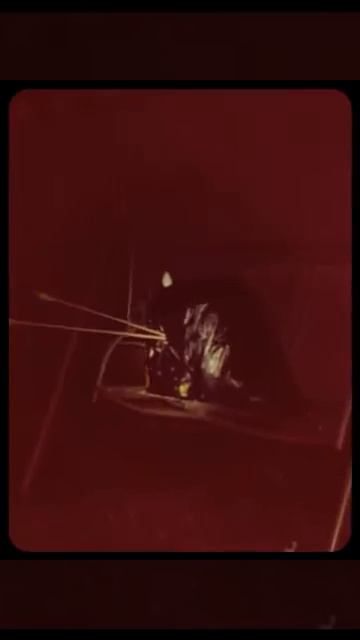 Home Made Arrows  (Created with Magisto)