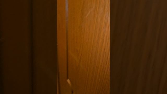 для авито богатырский 8 18.02.25