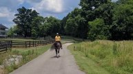 Jaz Magnolia Rose - 4 yr old Ameritano mare. FOR SALE!