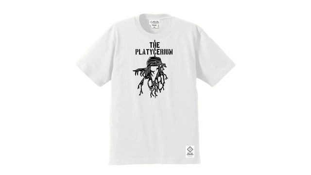 the platycerium