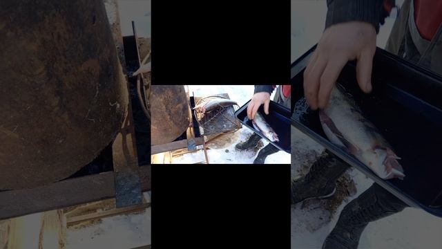 СУДАК ГОРЯЧЕГО КОПЧЕНИЯ