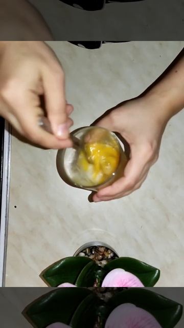 Яблочное удовольствие