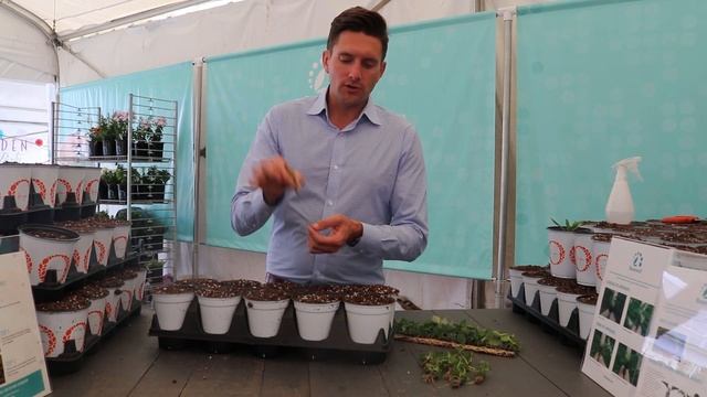 How to Plant Basewell