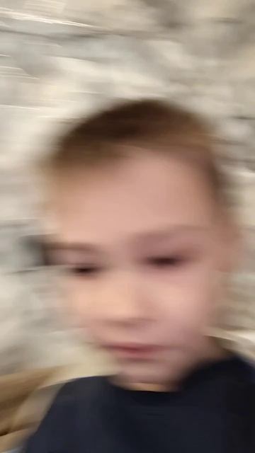 scene_output.mp4