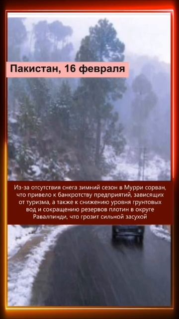 16.02.2025 Что произошло в мире