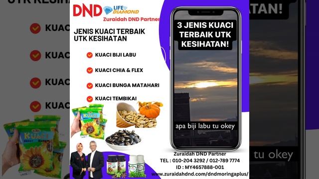 JENIS KUACI TERBAIK UNTUK KESIHATAN   #dndmoringaplus #dnd369e #dndmoringamasalatea