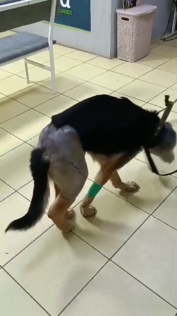 Починим, будет как новый