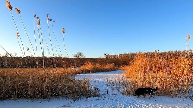 📹 Славянск 18 февраля 2025г Вечер Прогулка по озеру